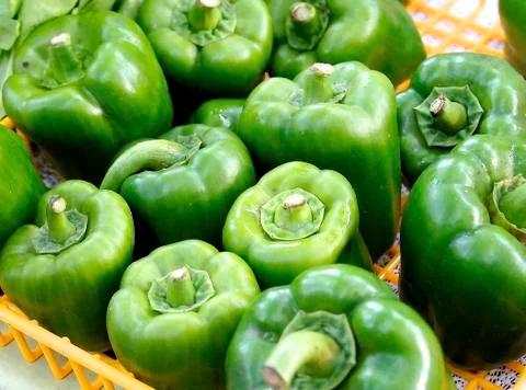 Vegetable Stock Photos