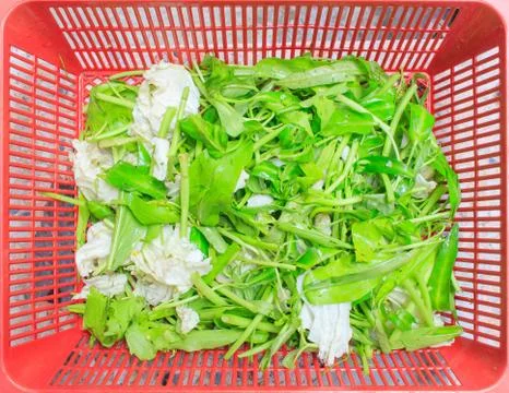 Vegetable Stock Photos