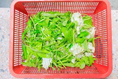 Vegetable Stock Photos