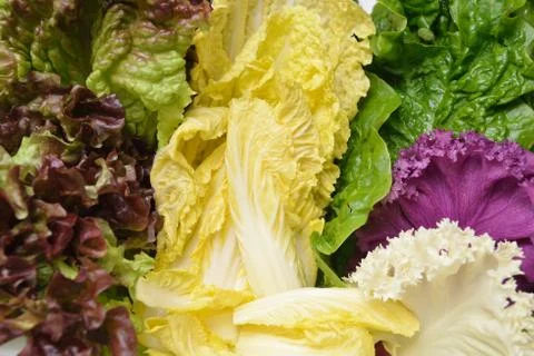 Vegetable Foto stock