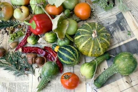 Vegetable Stock Photos
