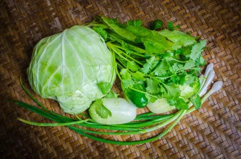 Vegetable Fotos de archivo