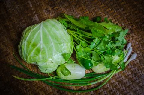 Vegetable Fotos de archivo