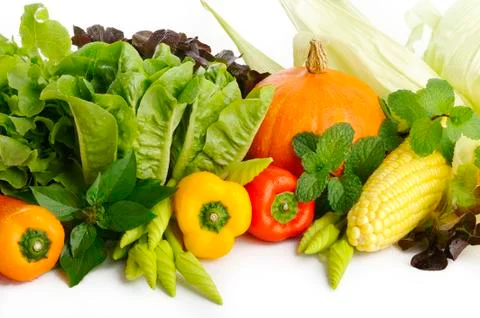 Vegetable Stock Photos