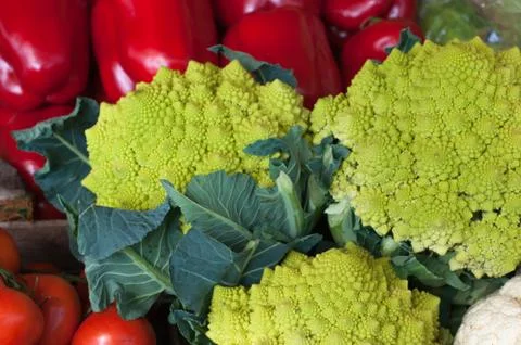 Vegetable Stock Photos