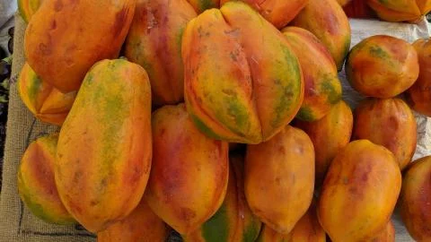 Vegetable Stockfoto's