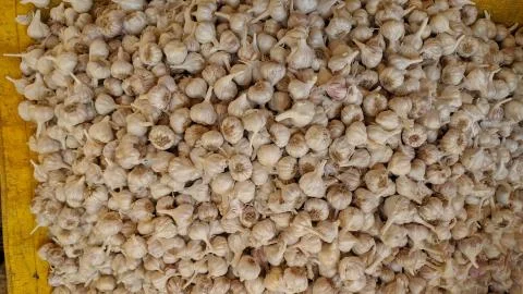 Vegetable Stockfoto's