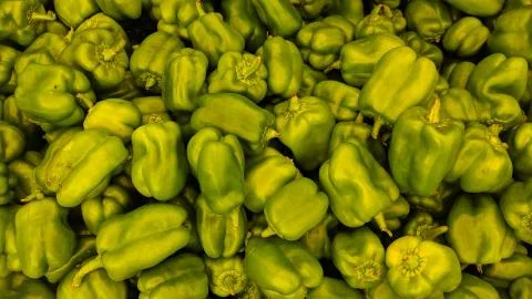 Vegetable Stockfoto's