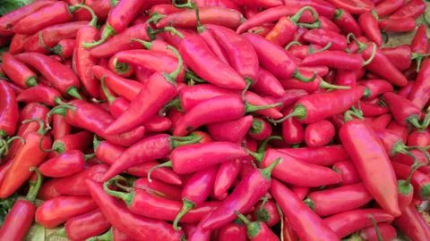 Vegetable Stockfoto's