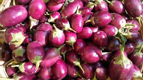 Vegetable Stockfoto's