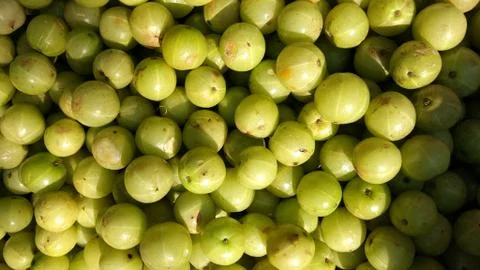 Vegetable Stockfoto's