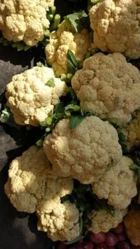 Vegetable Stockfoto's