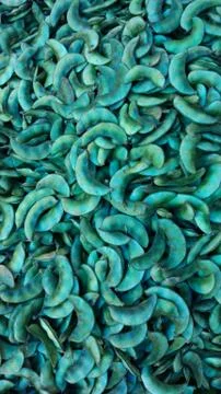 Vegetable Stockfoto's