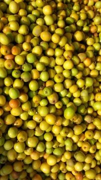 Vegetable Stockfoto's