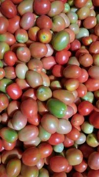 Vegetable Stockfoto's