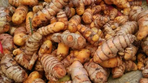 Vegetable Stockfoto's