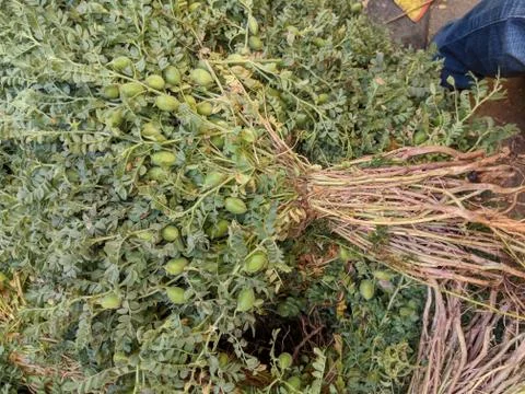 Vegetable Stockfoto's