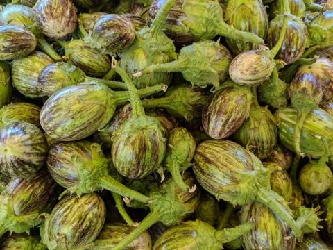 Vegetable Stockfoto's