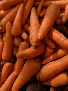 Vegetable Stockfoto's