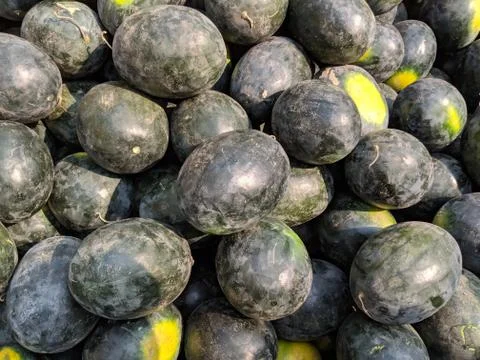 Vegetable Stockfoto's