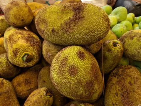 Vegetable Stockfoto's