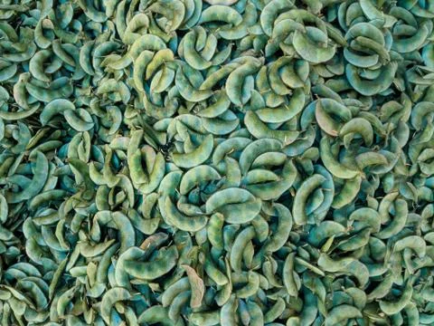 Vegetable Stockfoto's