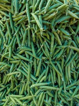 Vegetable Stockfoto's