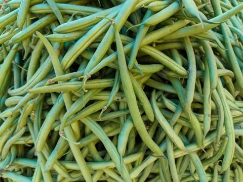 Vegetable Stockfoto's