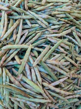 Vegetable Stockfoto's