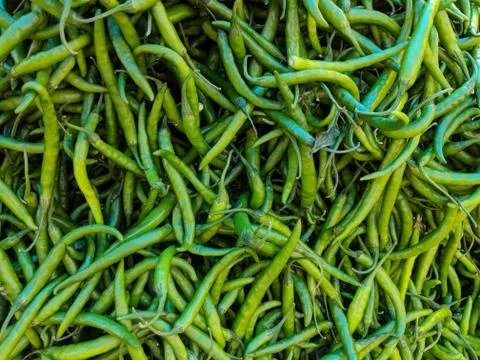 Vegetable Stockfoto's