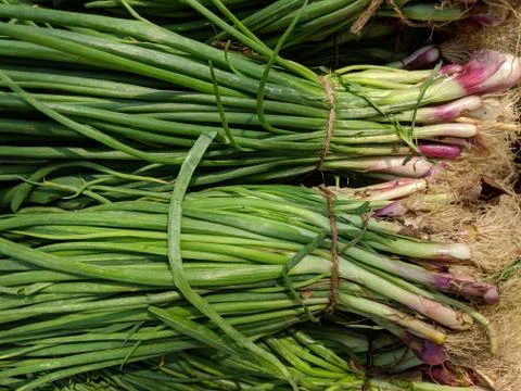 Vegetable Stockfoto's