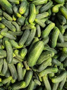 Vegetable Stockfoto's