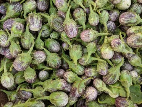 Vegetable Stockfoto's