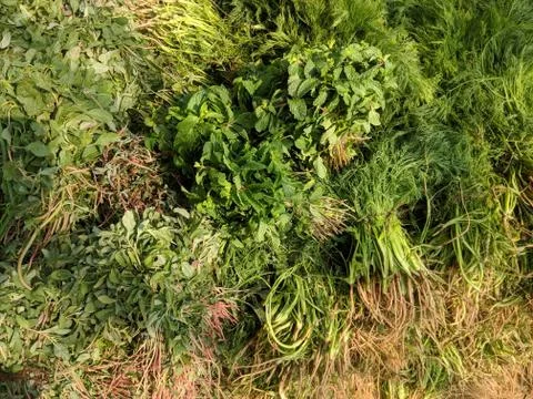 Vegetable Stockfoto's