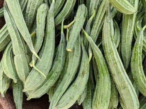 Vegetable Stockfoto's