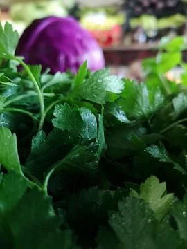 Vegetable Foto stock