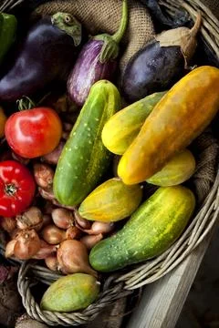 Vegetable Stock Photos
