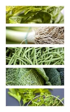 Vegetable Stock Photos