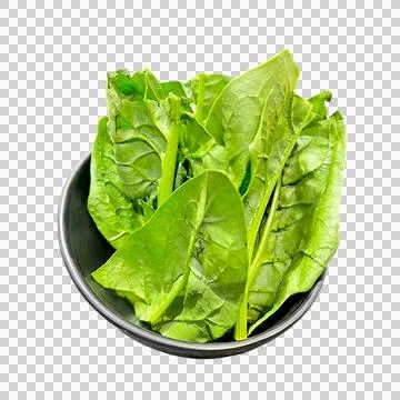 Vegetable Stock Photos