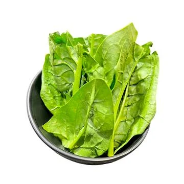 Vegetable Stock Photos