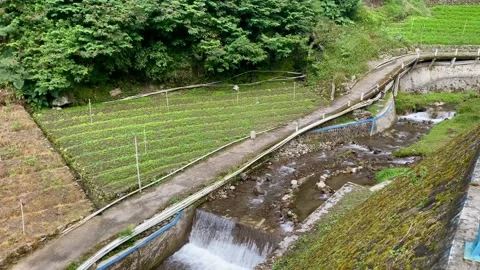 Vegetable Plantation Beside a Flowing River in the Indonesian Highlands Stock Footage 340802072