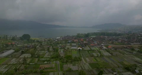 Vegetable plantations in the Bedugul area of Bali, Indonesia. Near Beratan Lake Stock Footage 252526151
