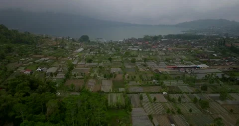 Vegetable plantations in the Bedugul area of Bali, Indonesia. Near Beratan Lake Stock Footage 253501591