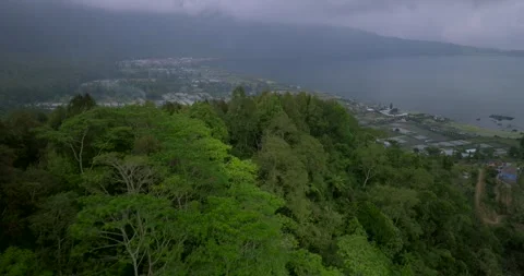 Vegetable plantations in the Bedugul area of Bali, Indonesia. Near Beratan Lake Stock Footage 253534958