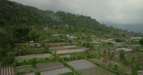 Vegetable plantations in the Bedugul area of Bali, Indonesia. Near Beratan Lake Vídeo Stock 255842593