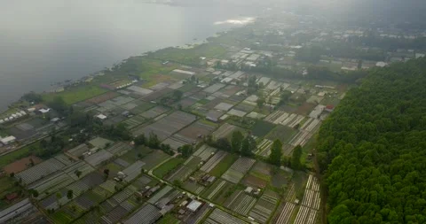 Vegetable plantations in the Bedugul area of Bali, Indonesia. Near Beratan Lake Stockbeeldmateriaal 256292846