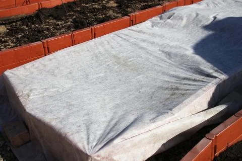 Vegetable plastic raised patch with seedlings covered with spunbond against.. Stock Photos
