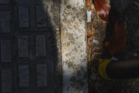 Vegetable plot in rural field of Spain Fotos de archivo