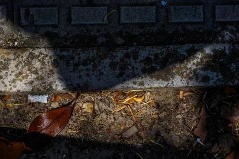 Vegetable plot in rural field of Spain Foto stock