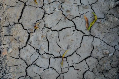 Vegetable plot in rural field of Spain Fotos de archivo